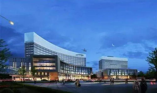 武漢光谷中心城樓盤8天熱銷1145套 區(qū)位優(yōu)勢(shì)與醫(yī)療資源雙輪驅(qū)動(dòng)下的市場(chǎng)熱潮